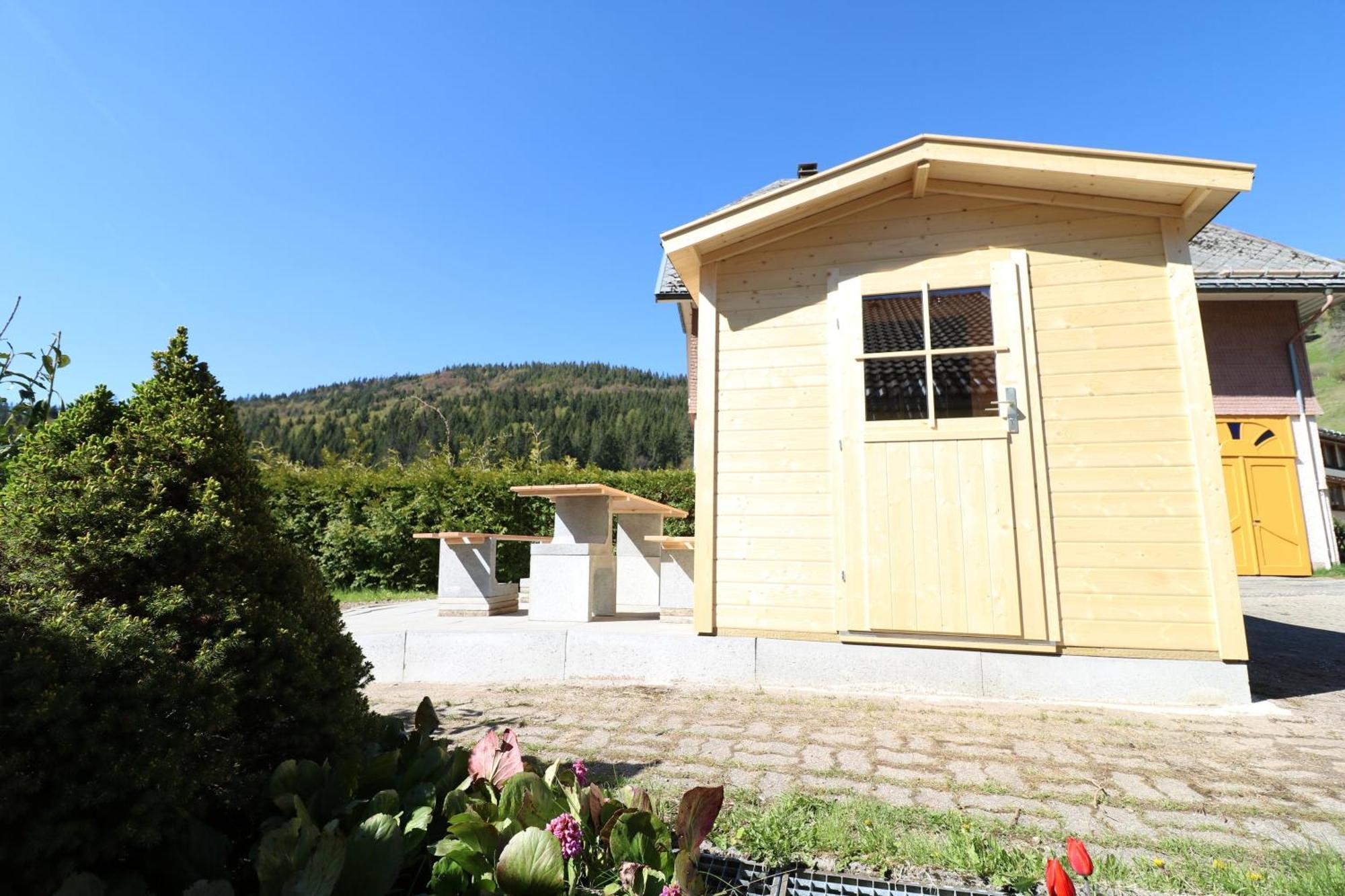 Fewo Schwarzwaldblick, 3 Schlafzimmer Todtnau-Muggenbrunn, Liftverbund Feldberg المظهر الخارجي الصورة