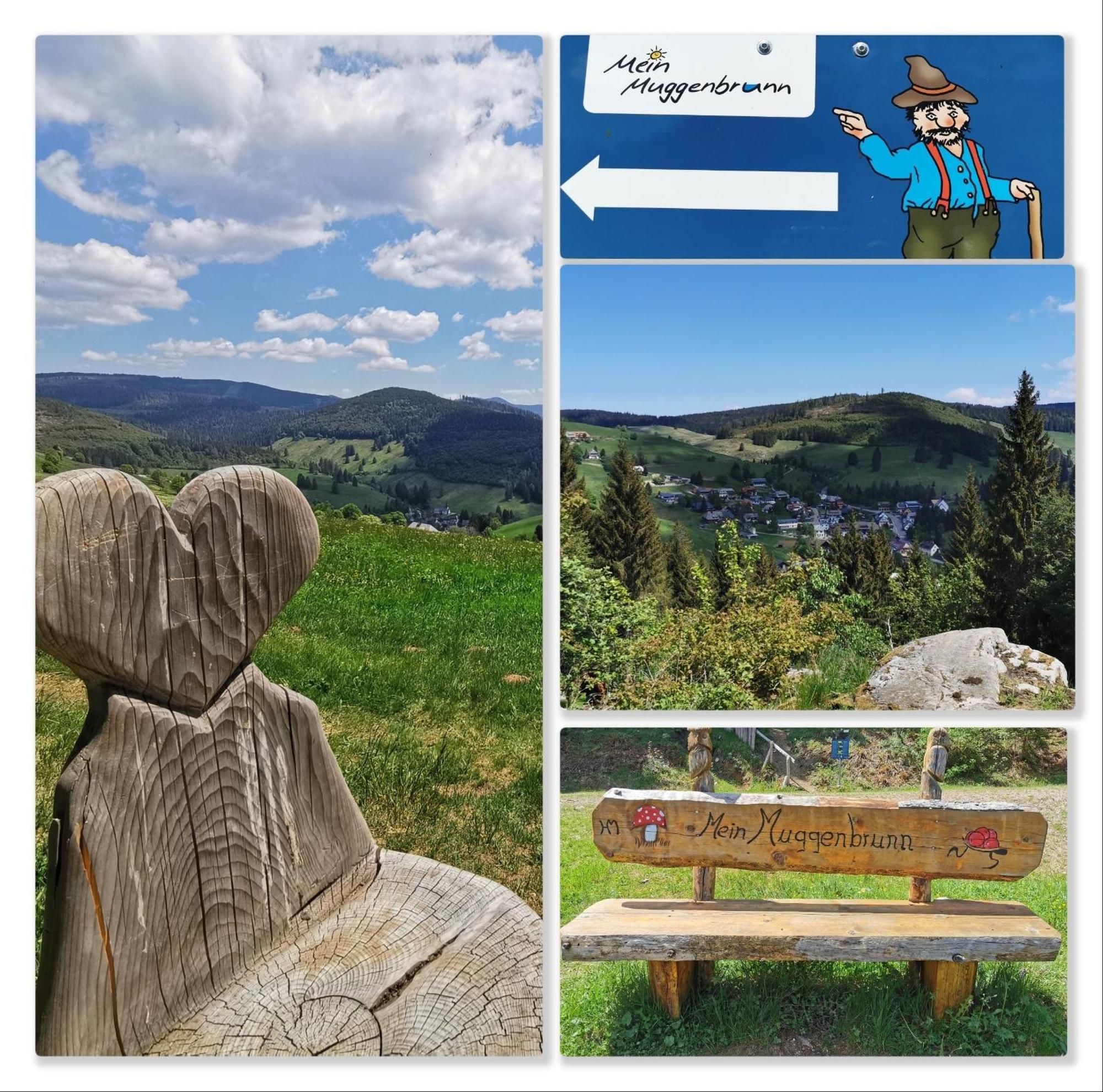 Fewo Schwarzwaldblick, 3 Schlafzimmer Todtnau-Muggenbrunn, Liftverbund Feldberg المظهر الخارجي الصورة